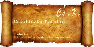 Csapliczky Katalin névjegykártya